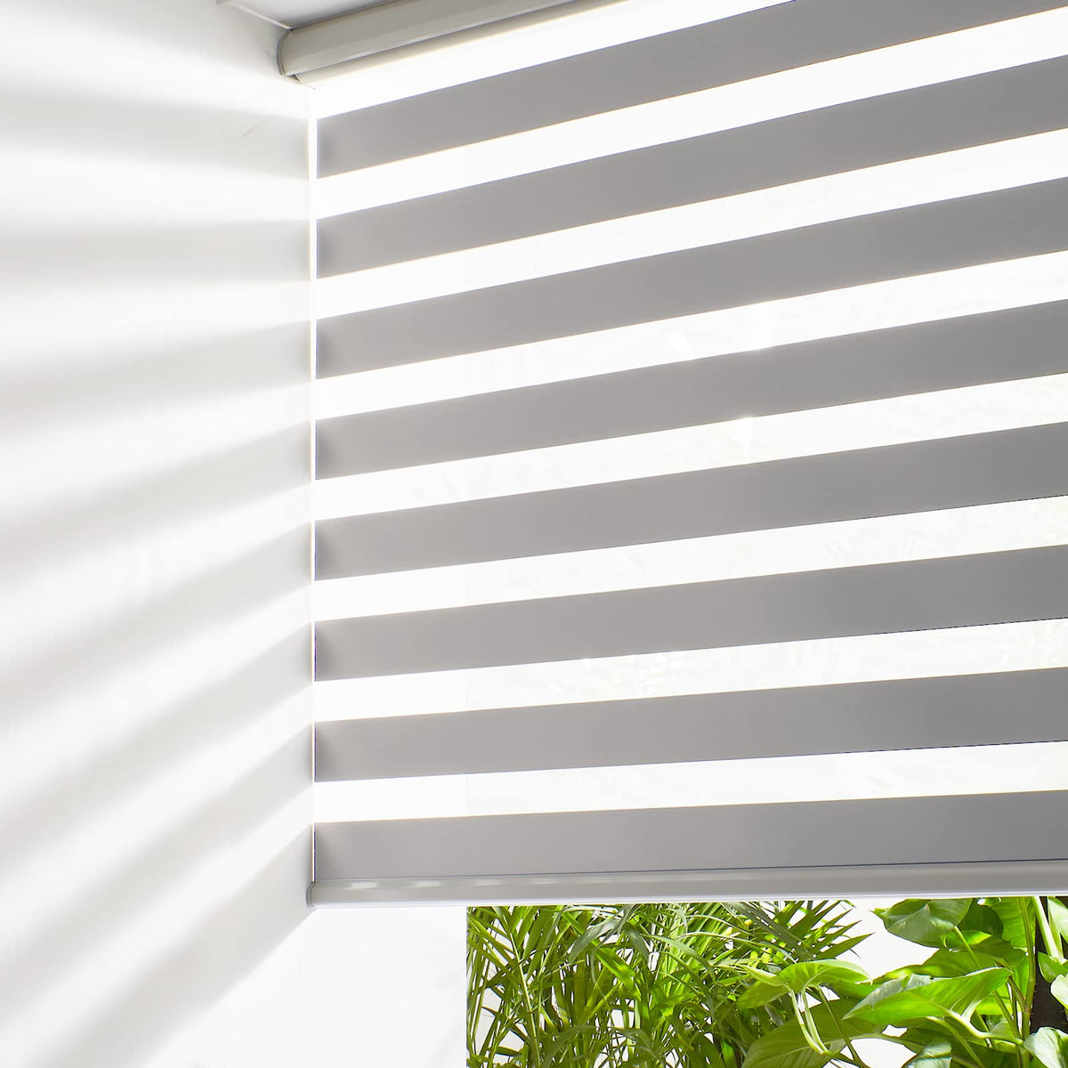 Persilux Cordless Zebra Blinds for Windows Free-Stop Roller Windows Shades (46" W X 64" H, White) Dual Layer Light Control for Day and Night, Light Filtering Sheer Shades for Home, Easy to Install