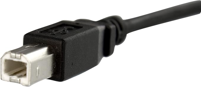 StarTech.com 1 ft Panel Mount USB Cable B to B - F/M - USB Type B (F) to USB Type B (M) - USB 2.0 - Molded Hood - Black (USBPNLBFBM1) (Pack of 2)
