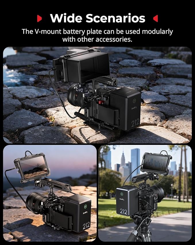 SMALLRIG V Mount Battery Plate with LCD Screen Protector, D-Tap & USB-C Supply, Compact Camera Video Rig for Mirrorless/DSLR, for NEEWER V Mount Battery PS099E