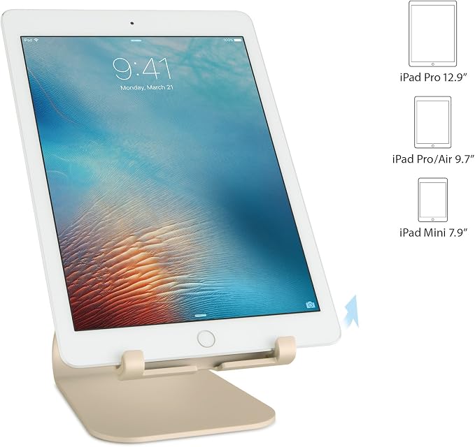 Rain Design mStand Tabletpro 9.7-12.9 (iPad Pro/Air) Space Gray (10058)