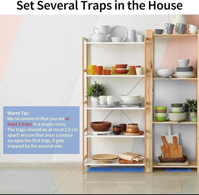 LULUCATCH Mouse Traps 48 Pack, Large Bulk Glue Rat Traps for Home, Pre-Scented Adhesive Plastic Tray for Snake, Mice, & Spider Catcher, Pet Safe Pest Control