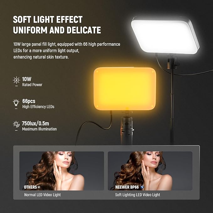NEEWER BASICS LED Video Panel Light, Bi Color Dimmable Video Conference Lighting Kit with Desktop Tripod Stand/Filters for Webcam Desk Computer Laptop Zoom Call Makeup Recording Selfie Streaming, BP66