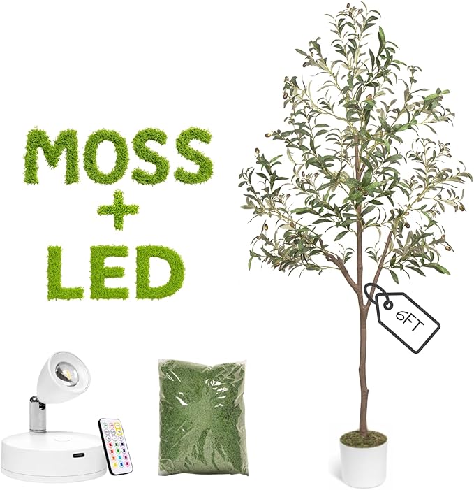 Olive Trees Artificial Indoor 6FT Tree with Rechargeable LED Spotlight, Decorative Moss & Weighted Pot – Tall Realistic Olive Plant for Home, Office, or Event Décor (6FT)