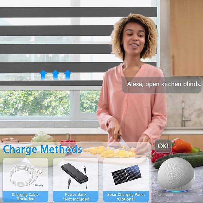 COOLWINDS Motorized Zebra Blinds for Windows Cordless Electric Curtains with Remote Control Blackout Shades Custom Smart Blinds Compatible with Alexa Google Home(Light Filtering Black,W24 X 72in)