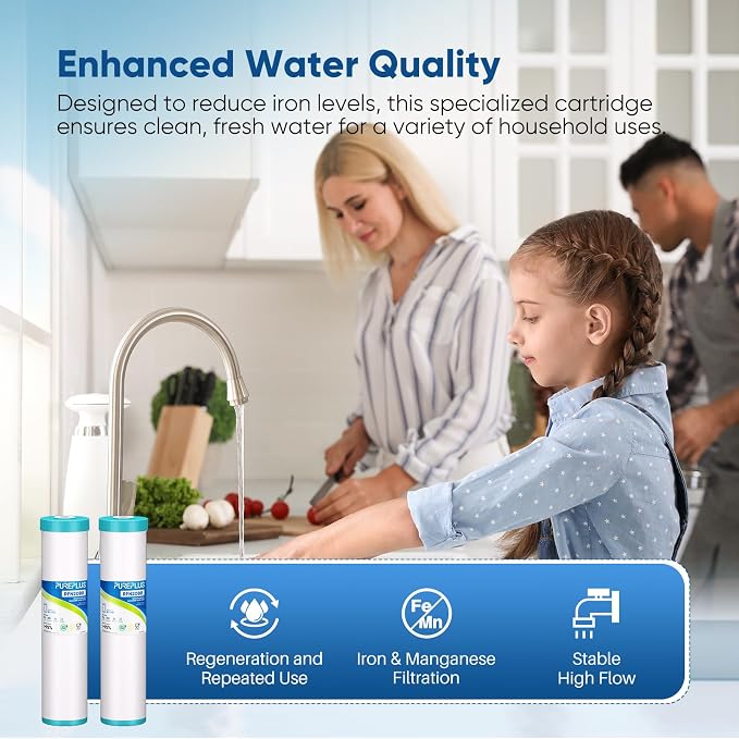 PUREPLUS 5 Micron 20" x 4.5" RFN20BB Whole House Iron & Manganese Reduce Water