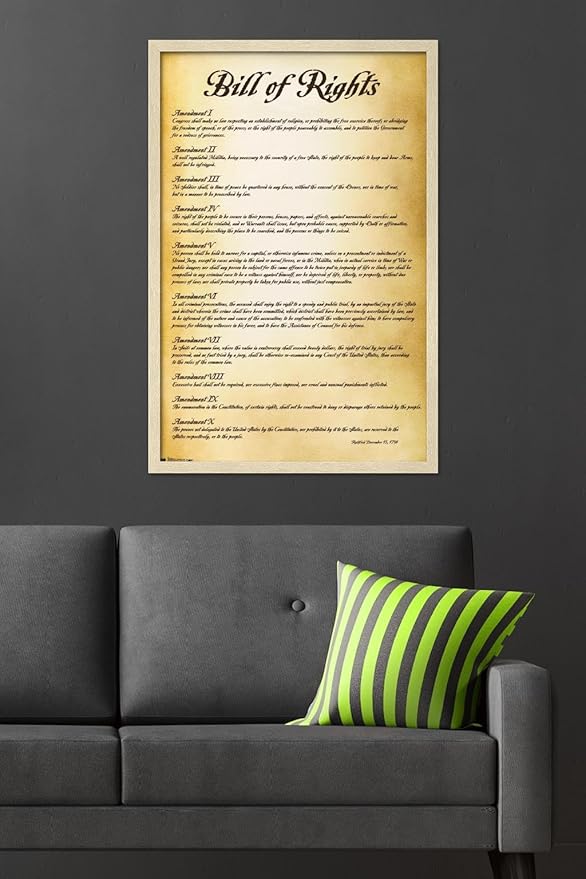 Trends International The United States of America - Bill of Rights Wall Poster, 34L x 22.4W, Blonde Framed Version