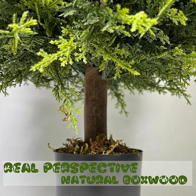 Artificial Cedar Topiary Trees - 24" Tall 17" Wide Set of 2 | Outdoor UV Resistant Fake Plants | Faux Evergreen Bushes Outdoor Indoor Porch Patio Décor | No Maintenance