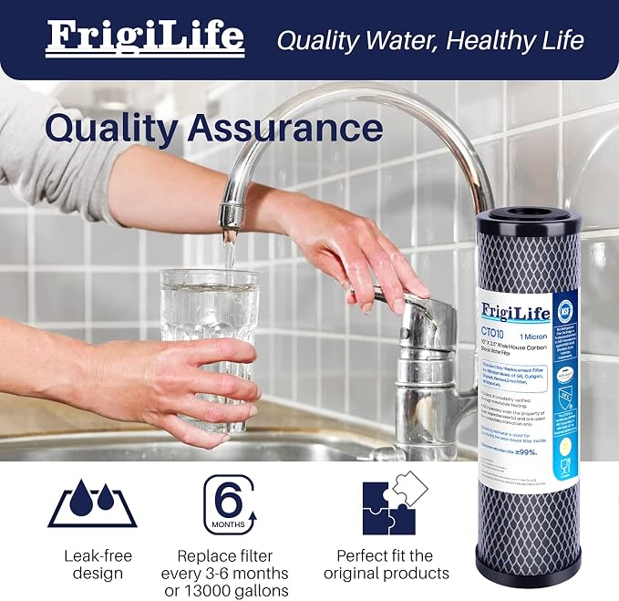 1 Micron 10" x 2.5" Whole House CTO Carbon Sedimen Water Filter Compatible