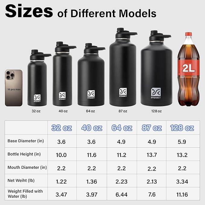 DYSANKY Insulated Water Bottle | Thickened Stainless Steel Vacuum Metal | Portable Sports Half Gallon Large Water Jug for Gym and Hiking with Straw, Carrier Bag, Handle Strap | BPA-Free 64 oz
