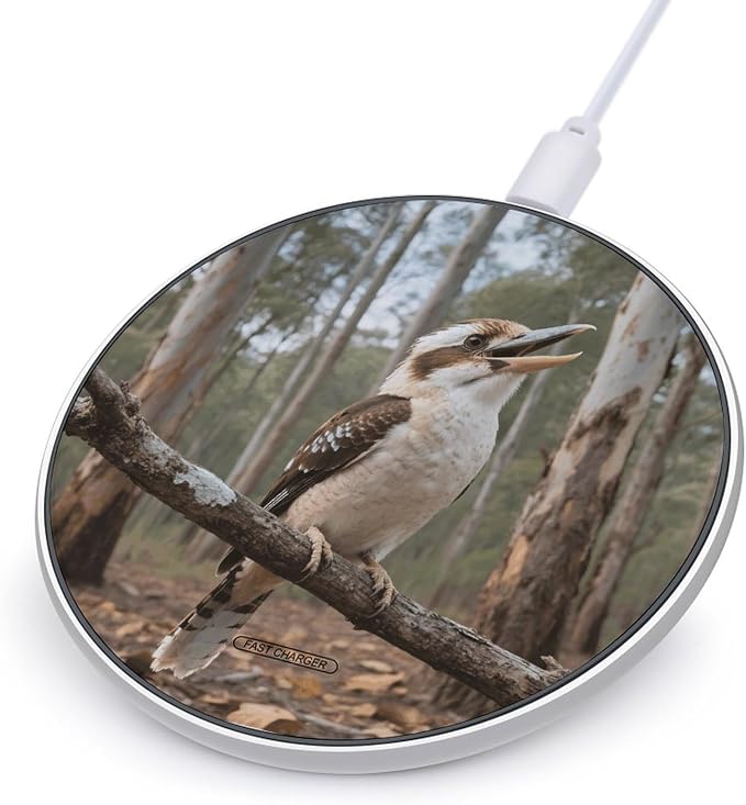 Gray Bird Wireless Charger with USB CableAluminum Alloy Frame 10W Max Compatible Fast Wireless Charging Pad- 3.2ft Cable Included for Travel Home Office Desk