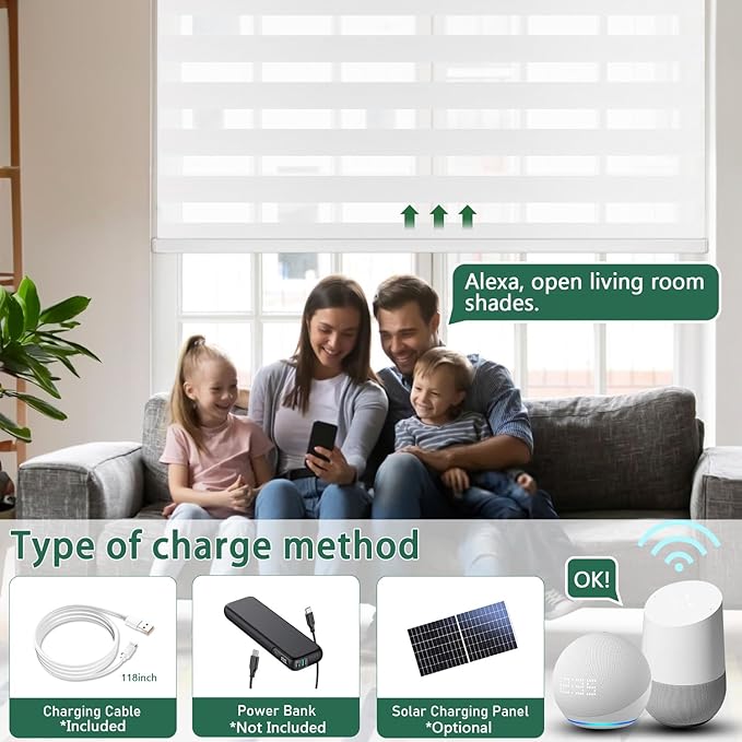 COOLWINDS Motorized Zebra Blinds for Windows Cordless Electric Curtains with Remote Control Blackout Shades Custom Smart Blinds Compatible with Alexa Google Home(Light Filtering White,W49 X 72in)