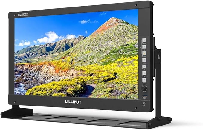 LILLIPUT 17.3" Q17 FHD PRO SDI Filmmaking Monitor 3D Lut HDR Waveform/Vector/Histogram/4 Bar Display/Audio Vector/Level Meter with Gold mount and 19" rack mount ears by VIVITEQ