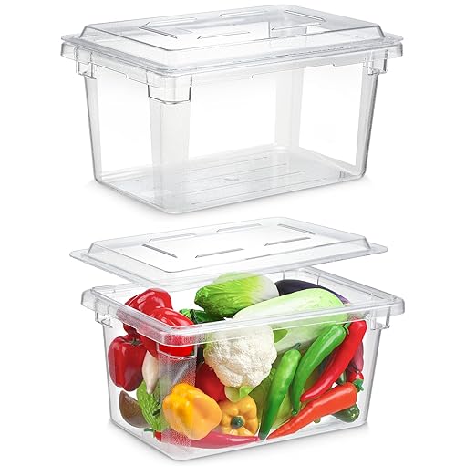 LOYIM 2 Pack 5 Gallon Polycarbonate Food Storage Containers with Lids