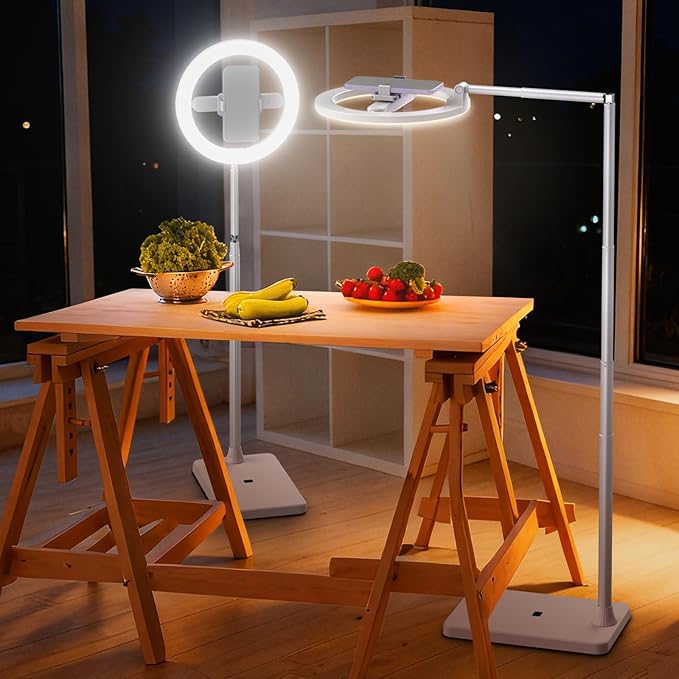 NEEWER Entry Level Version 10" 7W LED Ring Light with Stand/Phone Holder Mount/3 Color Modes, 69" Telescopic Selfie Ringlight, Lighting for iPhone Streaming Makeup Lash Studio Video Recording, N18
