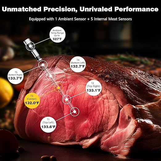 Smart Wireless Meat Thermometer with Display Base, WiFi & App
