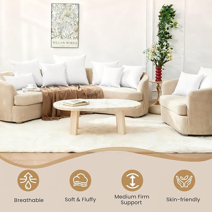 BHZ Throw Pillows 20x20 Euro Pillow Inserts Set of 2, Down Feather Alternative Pillow Inserts, Decorative Soft Large Square White Throw Pillows Insert for Couch Bed Dorm Sofa with Cotton Cover