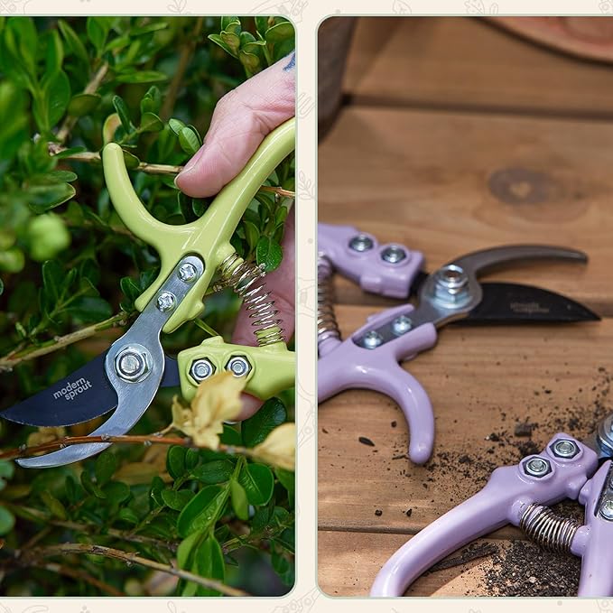 Modern Sprout Hand Pruners - Lightweight Pruning Shears W/Easy Lock- Gardening Scissors - Bypass Sharp Carbon Steel Blade - Rust Resistant - Garden Tools - Reusable Holster - Sage