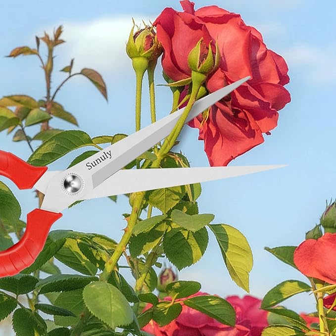 Extra Long Pruning Shears, Gardening Hand Pruners with Stainless Steel Blades, Garden scissors for Arranging Flowers, Trimming Plants, Harvesting Herbs, Fruits or Vegetables, 9.5IN