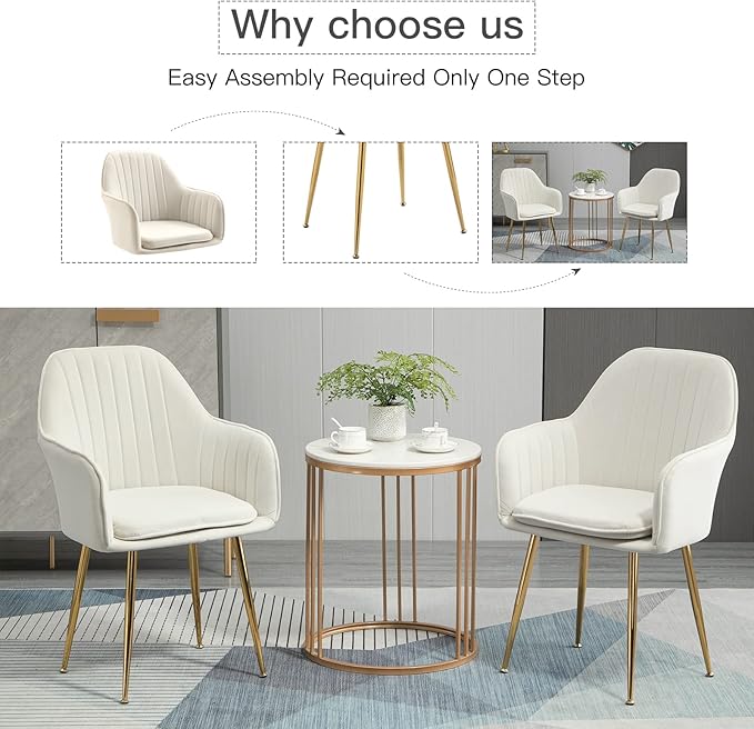 ECOTOUGE Modern Dining Chairs Set of 6, Upholstered Armchairs with Golden Metal Legs, Matte Velvet Kitchen Chairs for Dining Table, Accent Chairs for Living Room, Beige