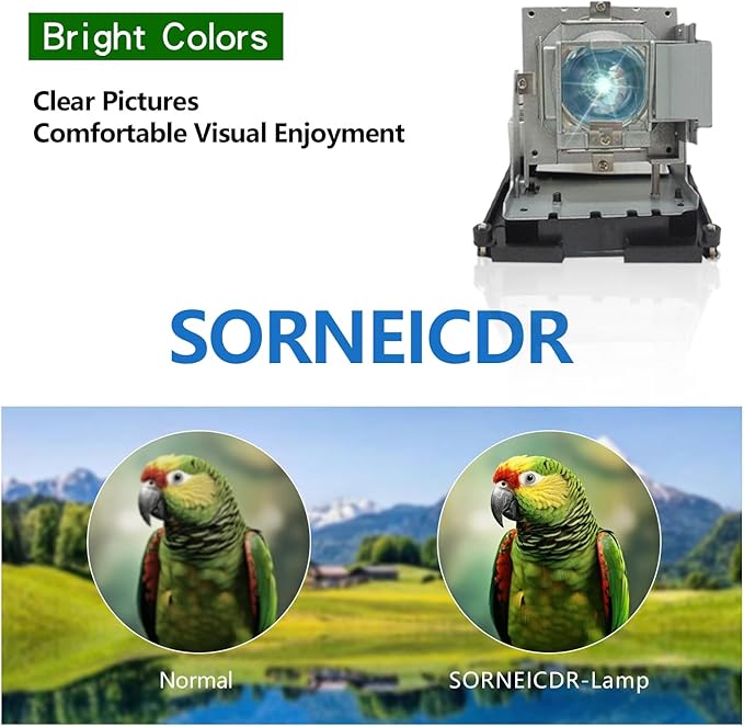SORNEICDR BL-FU310B / 5811118436-SOT Replacement Projector Lamp Bulb Compatible with OPTOMA DH1014 DH1017 EH500 X600 Projectors, with Housing