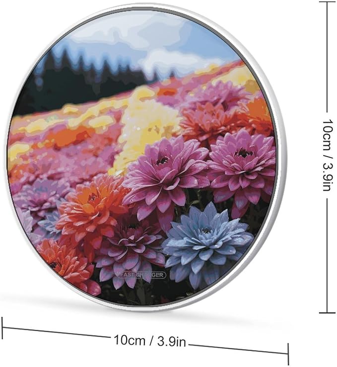 Rainbow Flower Sea Wireless Charger 10W Portable Fast Wireless Charging Pad Compatible with Phone Slim Charging Station Lightweight Charger Mat Charging Block for Travel Home Office