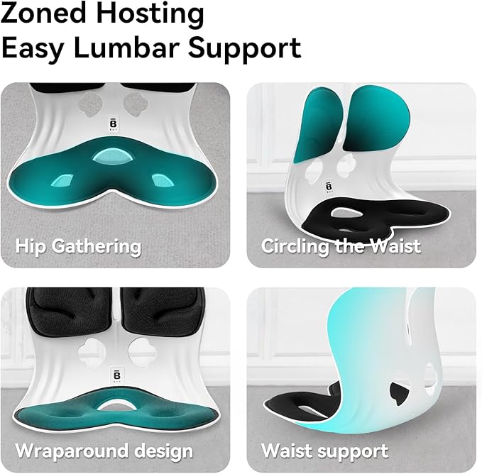 BKT Seat Cushion Chair Ergonomic Office Chair Cushions Lumbar Support for Seat Pillow Ideal for Students Office Workers Nursing Mothers Long Sitting Outdoor Fishing Floor (L-Black)