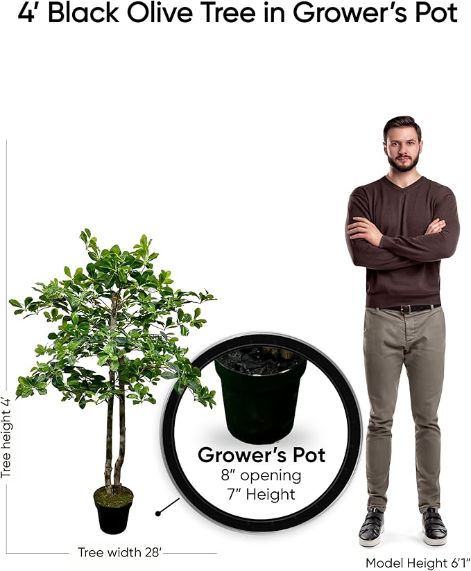 Cypress & Alabaster Handmade 4ft Italian Black Olive Leaf Artificial Tree with Ethically Sourced Real Wood Trunks, Hypoallergenic, 4-Foot, Green