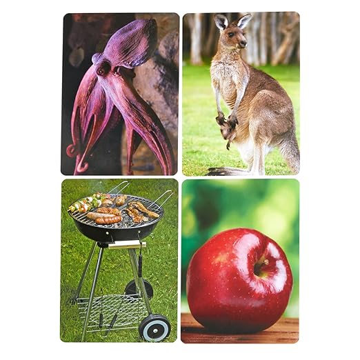 Really Good Stuff Syllable Photo Cards - 48 Cards