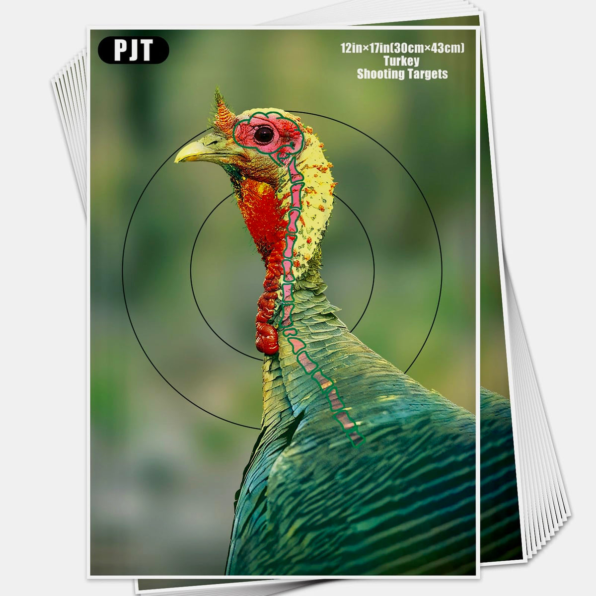 PJT 12 Pack Turkey Targets for Shotgun Patterning, 12"x17" Fluorescent Splatter Turkey Target with Head & Neck Kill Zone for 30–50 Yard Pattern Testing