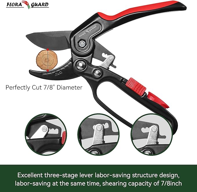 FLORA GUARD Ratchet Pruning Shears, Professional Garden Clippers, Increases Cutting Power 3x, Sharp Gardening Scissors, Cutting Rose, Flower, Hedge, Stem, Tree, Perfect for Weak Hands & Arthritis