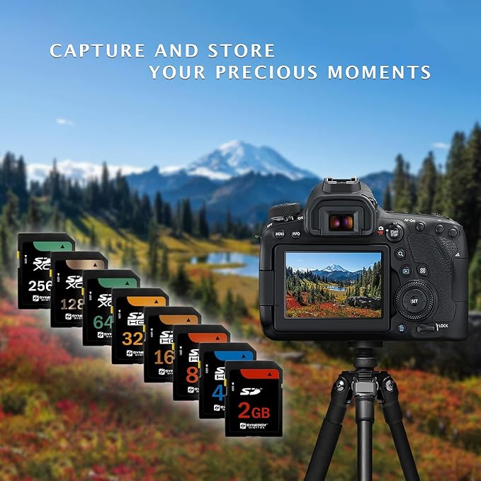 Transcend 2 GB SD Flash Memory Card (TS2GSDC) 2GB SD Memory Card, Transcend Secure Digital Memory