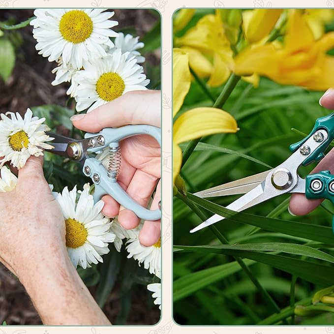 Modern Sprout Pruning Shears, Herb Snipping Scissors, Lightweight Gardening Tools W/Easy Lock, Flower Cutter Garden Shears, Carbon Steel Blade + Reusable Holster (Green, 1-Pack)