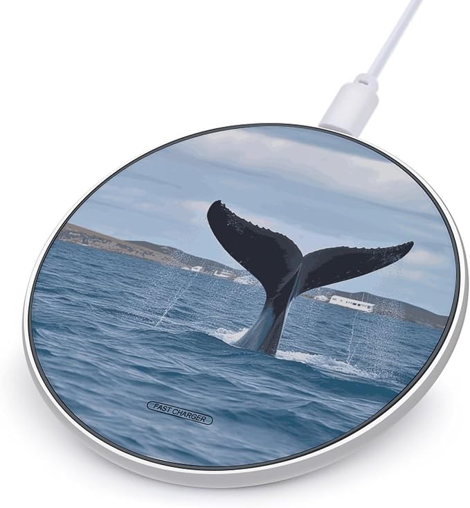 Whale Tail Wireless Charger 10W Fast Charging Pad Anti-Slip Qi Certified Wireless Charging Pad Charging Station Portable Phone Charger for All Wireless Charging Smartphone