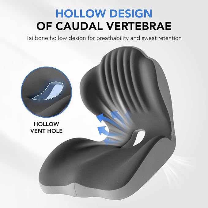 Ergonomic Waist Support and seat Cushion, 2-in-1 Memory Foam pad, Hollow Design for The Coccyx, Suitable for Office Chairs, car Safety Seats and Household use - relieves Lower Back and Hip Pain