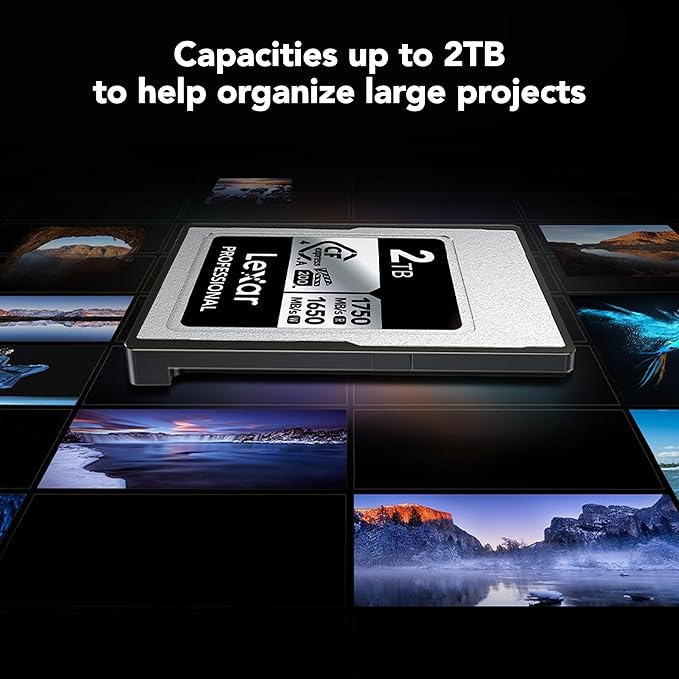 Lexar 512GB Professional CFexpress Type A Silver 4.0 Memory Card, for Photographers, Videographers, Up to max 1750/1650 MB/s, 8K Video (LCAEXS4512G-RNENU)