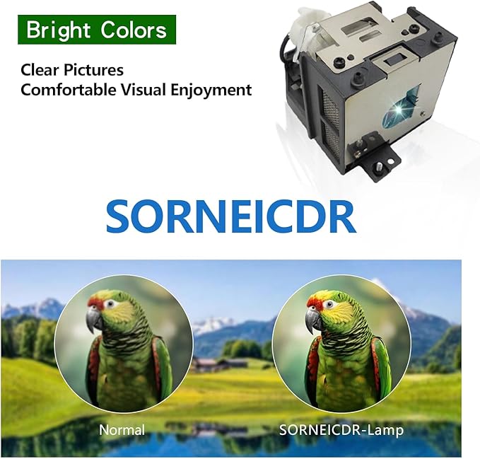 SORNEICDR AN-100LP Replacement Projector Lamp Bulb Compatible with Sharp XR-105/10S 10X/11XC/20S/20X/HB007/HB007X;XG-MB50X/MB50XL/MB55/MB55X/MB65/MB65X/MB67/MB67X;XV-Z3100/Z3000/Z100, with Housing