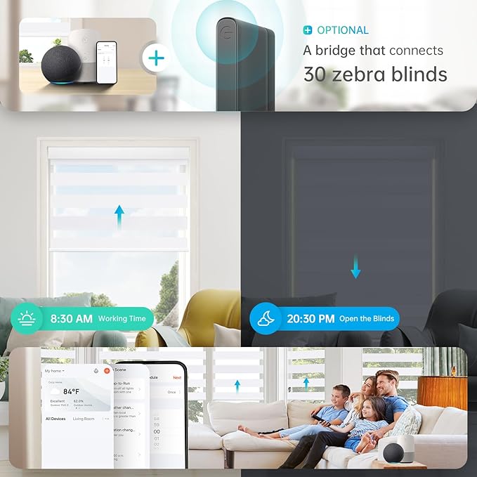 DENFOON Motorized Zebra Blinds, Solar Powered Dual Layer Automatic Shades with Remote Control, Rechargeable Smart Blinds Horizontal Wireless Electric Shades for Windows, Custom Size