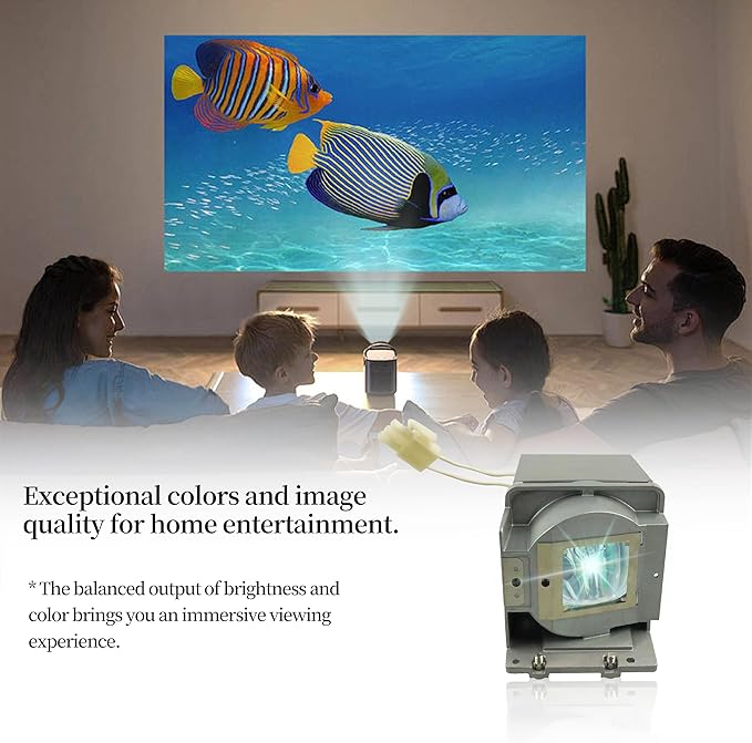 SORNEICDR RLC-072 Replacement Projector Lamp Bulb Compatible with Viewsonic PJD5133 PJD5123 PJD5233 PJD5523W PJD5223 PJD5353 PJD5113 PJD5133-1W Pro6200 Projector Lamp Bulb with Housing