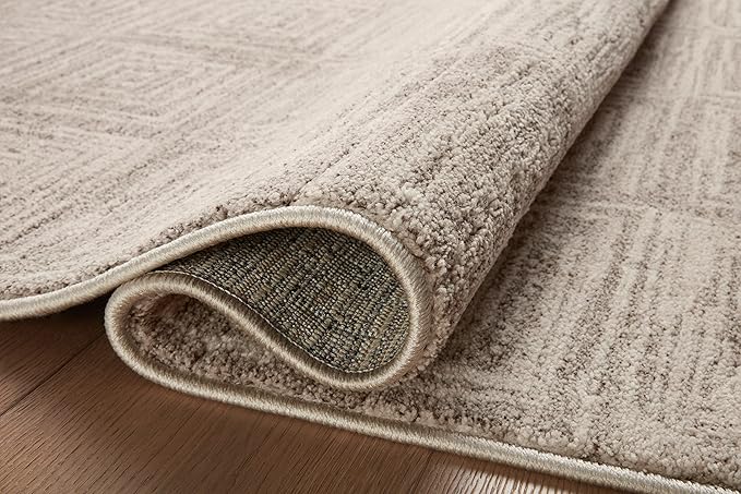 Loloi Darby Collection DAR-05 Beige/Grey 2'-7" x 4' Accent Rug