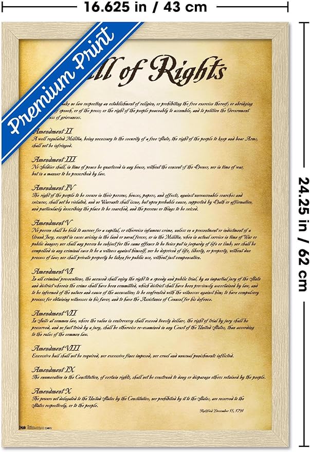 Trends International The United States of America - Bill of Rights Wall Poster, 22.4L x 14.7W, Blonde Framed Version