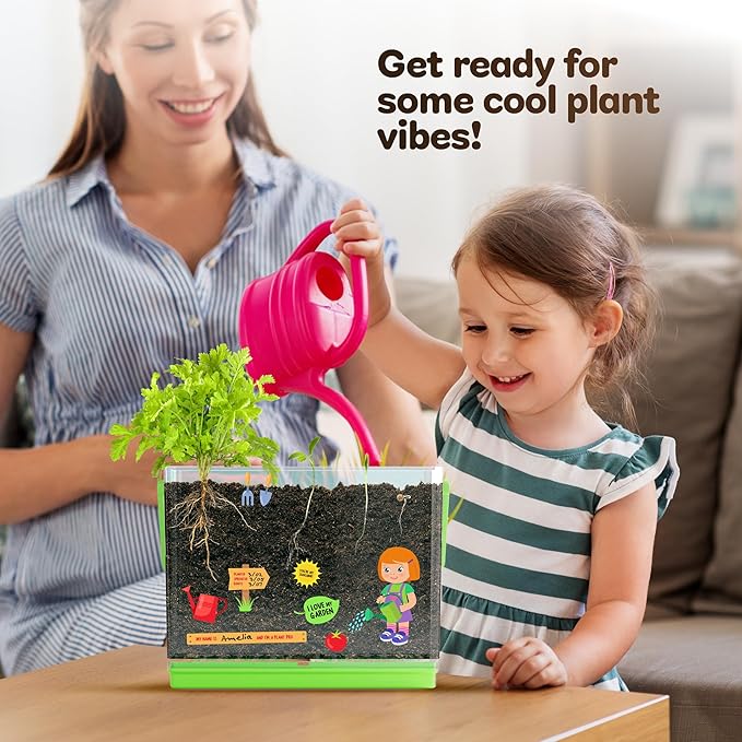 Dan&Darci Root Viewer Kit for Kids - Grow Your Own Plant for Boys & Girls Easter Gifts - Science STEM Toy & Craft Growing Kits for Ages 4-8 Birthday Gifts for Boy, Girl 4, 5, 6, 7, 8, Year Old