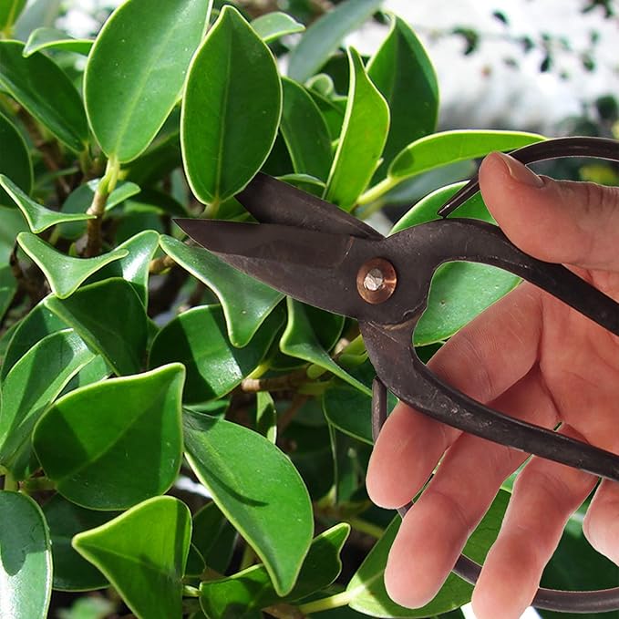 BambooMN Bonsai 7" Heavy Duty Butterfly Shear - 3 Pieces