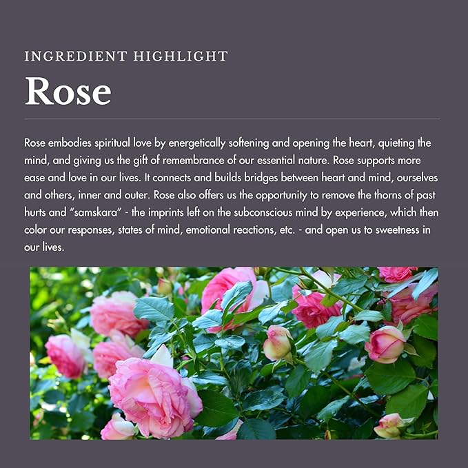 Anima Mundi Apothecary Soothing Rose Water Face Toner - Beauty Myst Facial Spray Helps Reduce Redness, Calm Skin, & Slow Signs of Aging - Made with Rose Distillate & Hints of Citrus (4 oz/118 ml)