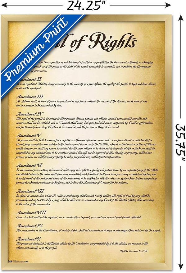 Trends International The United States of America - Bill of Rights Wall Poster, 22.375" x 34", Gold Framed Version
