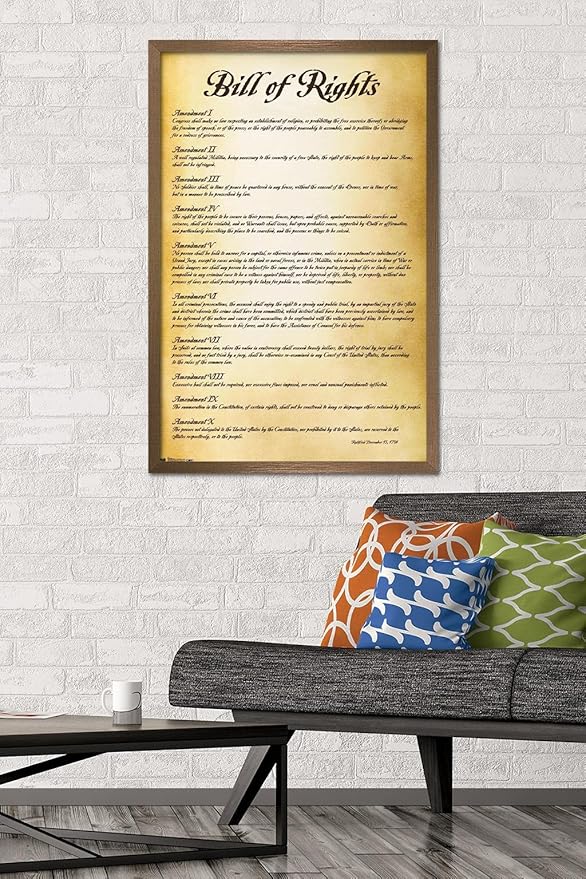 Trends International The United States of America - Bill of Rights Wall Poster, 22.375" x 34", Bronze Framed Version