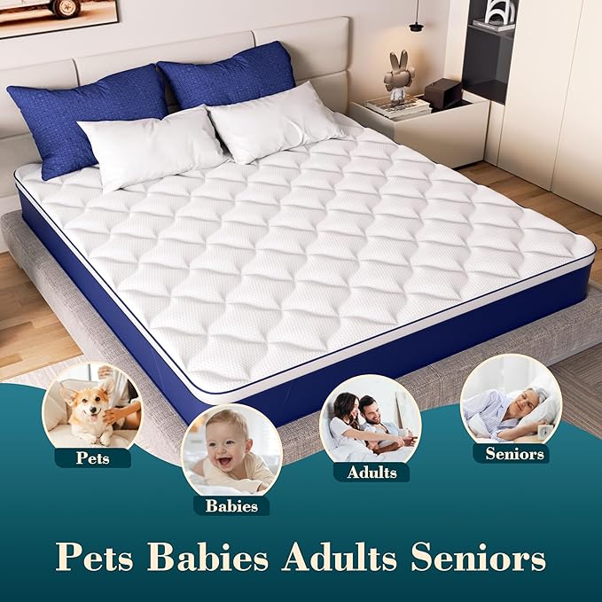 12 Inch Hybrid Queen Mattress in a Box - Gel Memory Foam & Pocket Springs for Back Pain Relief, Soft & Plush Fiberglass-Free Bed, CertiPUR-US Certified, 60x80 Inches