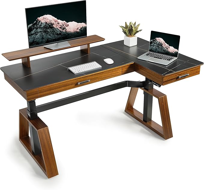 EUREKA ERGONOMIC Electric Standing Desk with Dual Drawers,Rock Slab-Black