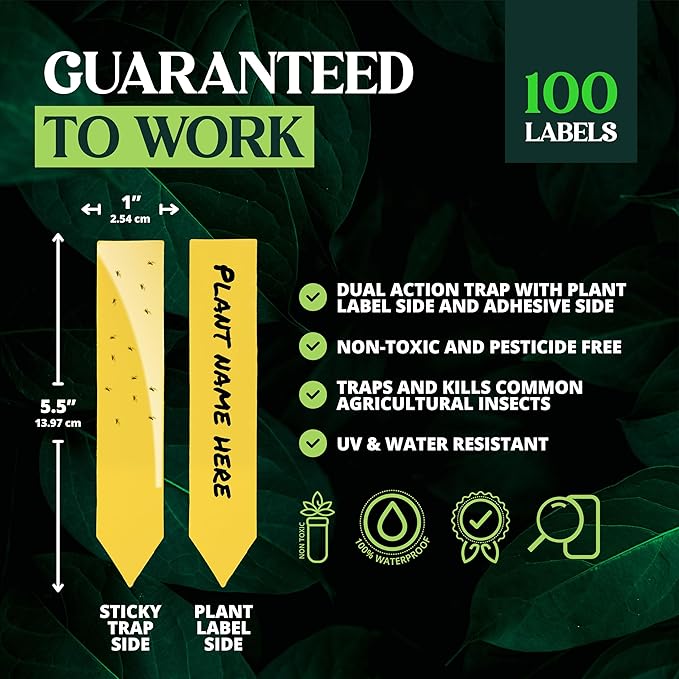 Catchmaster Dual Action Plant Labels 100 PK, Sticky Insect Trap Plant Stakes, for Live Plants Indoor Outdoor, Fruit Fly Trap, Glue Traps for Home, Farm, Garden, Hydroponics & Greenhouse, Pest Control