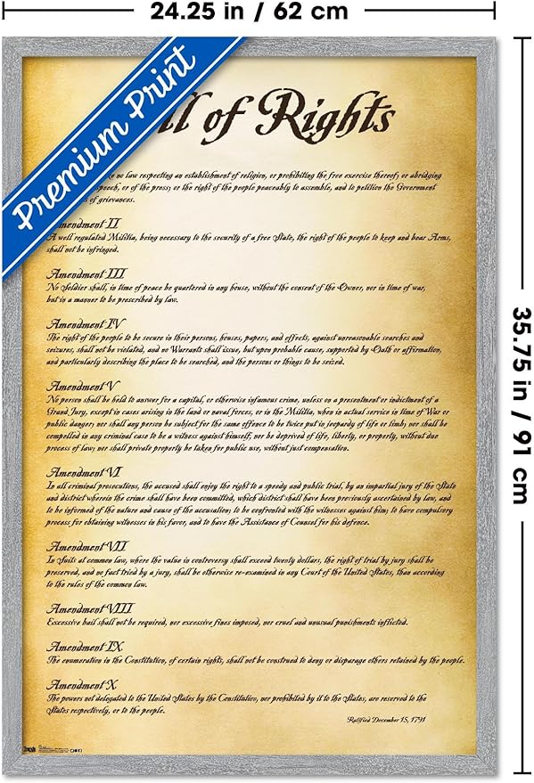 Trends International The United States of America - Bill of Rights Wall Poster, 34L x 22.4W, Gray Framed Version