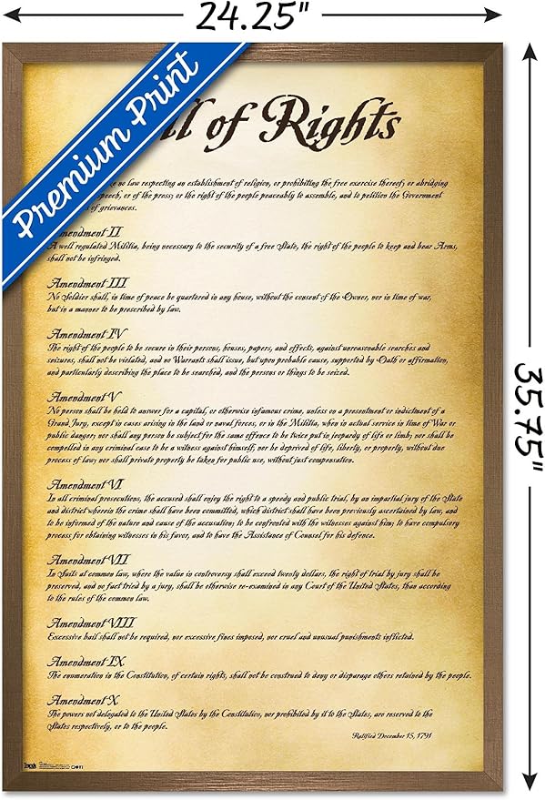 Trends International The United States of America - Bill of Rights Wall Poster, 22.375" x 34", Bronze Framed Version